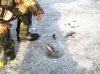 Зим рыб 15.03.06 007.jpg