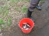 ПЗ соревнования 06 033.jpg