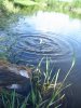 Калинов 17.05.06 045.jpg