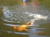 DSCN0829.JPG