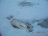 DSCN1273.JPG