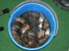 DSCN1211.jpg