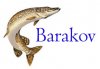 barakov.jpg