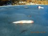 DSCN1546.JPG