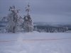 Изменение размера IMG_0650.jpg