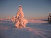 Изменение размера IMG_0711.jpg