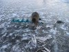 IMG_3080 1.jpg