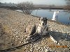 DSCN0419.JPG