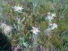 DSC00265.JPG