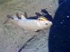 DSC00308.JPG