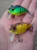 DSC00177.JPG