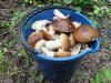 DSC00216.JPG