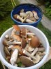 DSC00226.JPG
