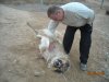 DSCN0912.JPG