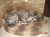 DSCN1101.JPG
