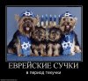 833546_evrejskie-suchki.jpg