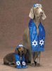 HS_Dog_Shalom_Pet_Costume.jpg