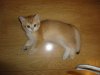 DSC00902.JPG