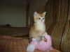 DSC00884.JPG