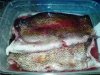 DSC00537.JPG