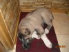 DSCN1272.JPG