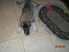 DSCN1274.JPG