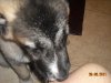 DSCN1273.JPG