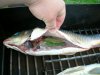 DSCN4844.JPG