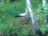 DSC06446.JPG