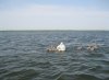 IMG_0507.JPG