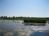 IMG_0482.JPG