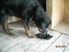 DSCN1495.JPG
