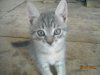 DSCN1607.JPG