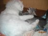 DSCN1669.JPG