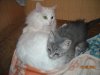 DSCN1667.JPG