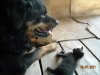 DSCN1500.JPG