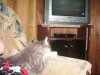 IMGP3766.JPG