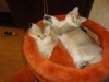 DSC01693-1.JPG