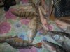 DSCN1254.jpg