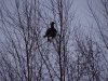 DSC01504.JPG