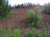 DSC03813.JPG