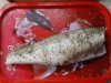DSC00211.JPG
