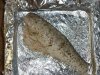 DSC00213.JPG
