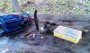 IMAG0477.jpg