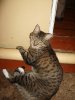 IMGP4759.jpg