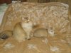 DSC02607.JPG