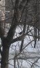 IMAG0670.jpg