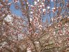 DSC00580.JPG