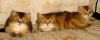 DSC02773.JPG