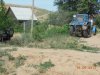 DSCN2720.jpg